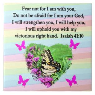 PAARSE BUTTERFLY ISAIAH 41:10 BIBLIOTHEEK TEGELTJE