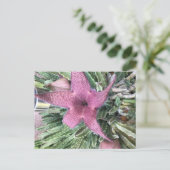 Paarse Cactus Bloem Briefkaart (Staand voorkant)