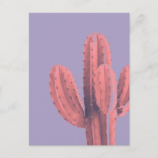 Paarse Cactus Succulent Foto van Bright Neon Pink Briefkaart (Voorkant)