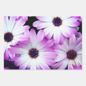 Paarse cadeauverpakking vellen (Voorkant 2)