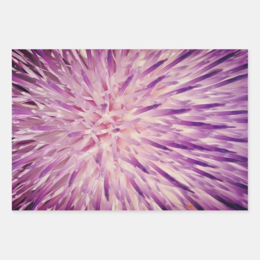 Paarse cadeauverpakking vellen (Voorkant)