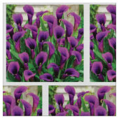 Paarse Calla lileugens Stof (Close Up)