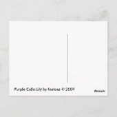 Paarse Calla Lily Briefkaart (Achterkant)