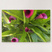 Paarse Calla Lily, Oakland Legpuzzel (Horizontaal)