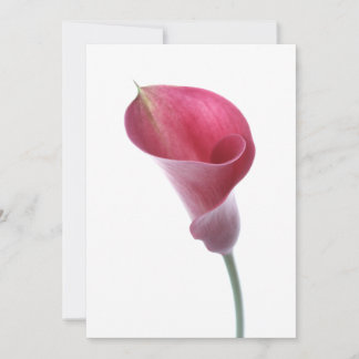 Paarse Calla Lily Uitnodiging
