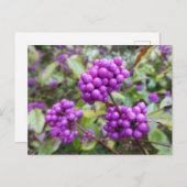 Paarse Callicarpa DIY Briefkaart (Voorkant / Achterkant)