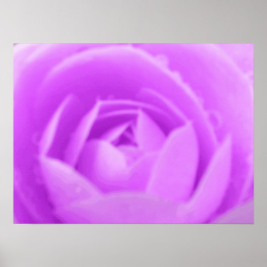 Paarse Camellia Print (Voorkant)