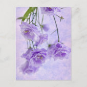 Paarse Campanella Flowers Macro Briefkaart (Voorkant)