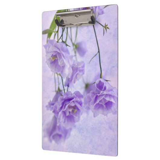 Paarse Campanella Flowers Macro Klembord (Links)