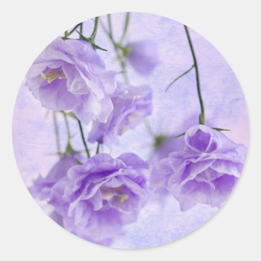 Paarse Campanella Flowers Macro Ronde Sticker (Voorkant)