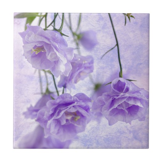 Paarse Campanella Flowers Macro Tegeltje (Voorkant)