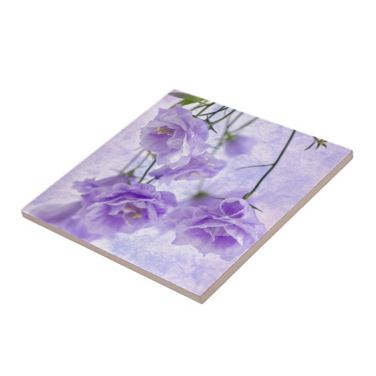 Paarse Campanella Flowers Macro Tegeltje (Zijkant)
