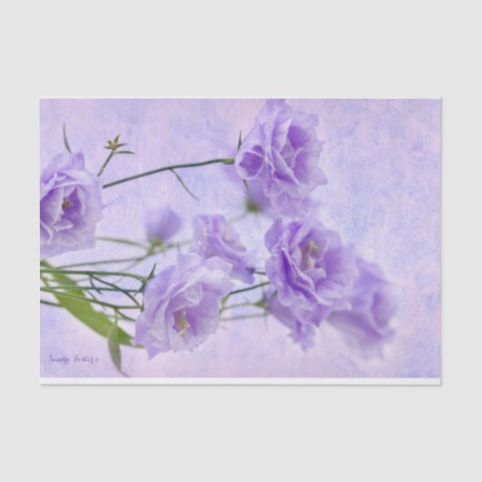 Paarse Campanella Flowers Macro Tissuepapier (Voorkant)