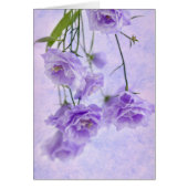 Paarse Campanella Flowers-macrokaart (Voorkant)