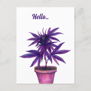 Paarse Cannabis Briefkaart