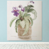 Paarse Cape Primrose Waterverf Canvas afdrukken (Insitu (Houten vloer))
