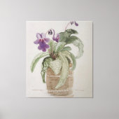 Paarse Cape Primrose Waterverf Canvas afdrukken (Voorkant)