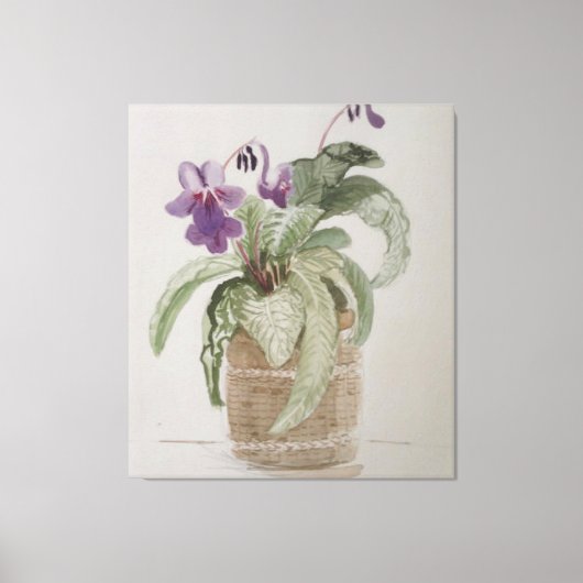 Paarse Cape Primrose Waterverf Canvas afdrukken (Voorkant)