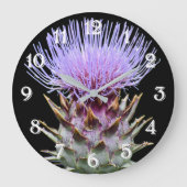 Paarse Cardoon Distel Bloem Grote Klok (Voorkant)