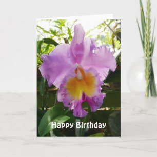 Paarse Cattleya Orchid Tropische Bloem Sjabloon