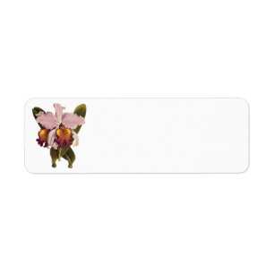  Paarse Cattleya Orchid, Tropische bloemen Etiket
