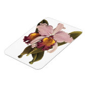 Paarse Cattleya Orchid, Tropische bloemen Magneet (Linkerzijde)