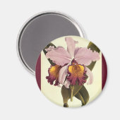  Paarse Cattleya Orchid, Tropische bloemen Magneet (Voorkant / Achterkant)