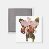  Paarse Cattleya Orchid, Tropische bloemen Magneet (Voorkant / Achterkant)