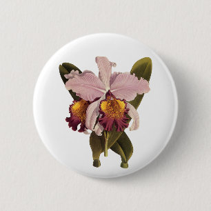Paarse Cattleya Orchid, Tropische bloemen Ronde Button 5,7 Cm