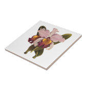  Paarse Cattleya Orchid, Tropische bloemen Tegeltje (Zijkant)