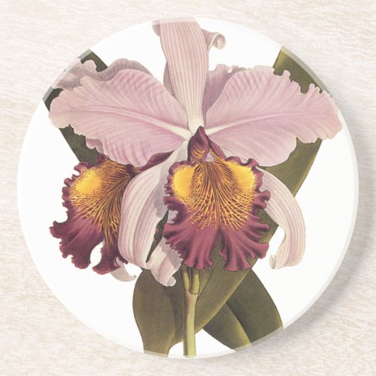  Paarse Cattleya Orchid, Tropische bloemen Zandsteen Onderzetter (Voorkant)