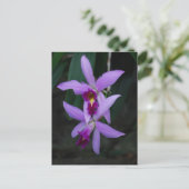 Paarse Cattleya orchidee Briefkaart (Staand voorkant)