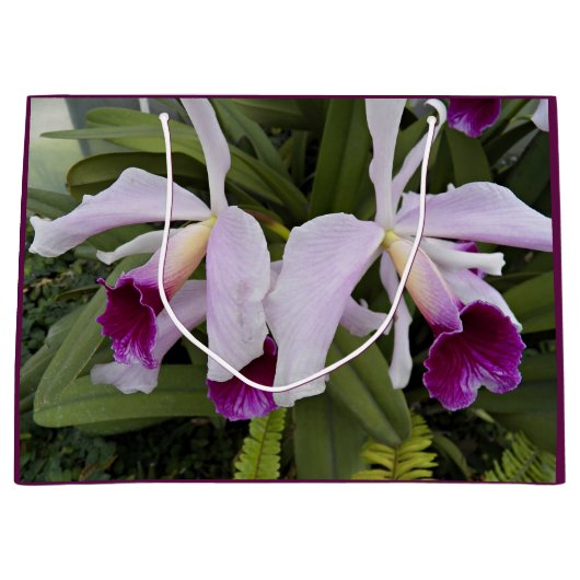 Paarse Cattleya Orchids Floral Groot Cadeauzakje (Voorkant)