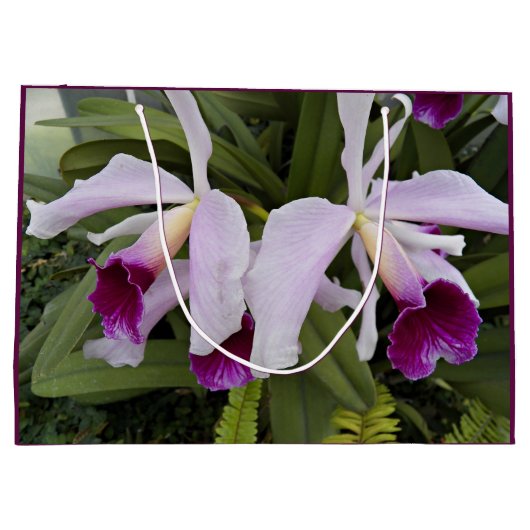 Paarse Cattleya Orchids Floral Groot Cadeauzakje (Achterkant)