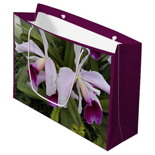 Paarse Cattleya Orchids Floral Groot Cadeauzakje (Voorkant Gekanteld)