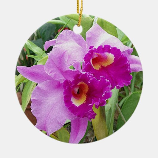 Paarse Cattleya Orchids Keramisch Ornament (Voorkant)