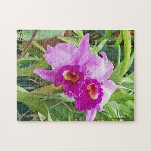 Paarse Cattleya Orchids Legpuzzel (Horizontaal)