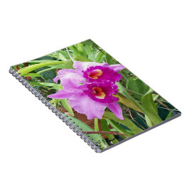 Paarse Cattleya Orchids Notitieboek