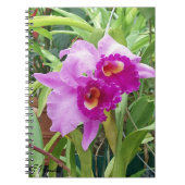 Paarse Cattleya Orchids Notitieboek (Voorkant)