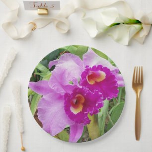 Paarse Cattleya Orchids Papieren Bordje