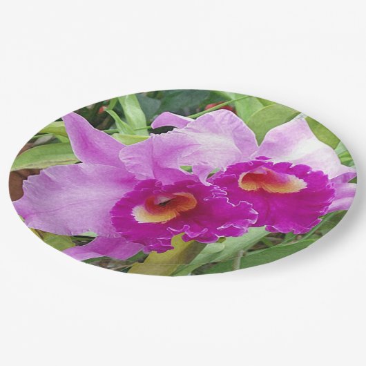 Paarse Cattleya Orchids Papieren Bordje (Gekanteld)