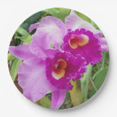 Paarse Cattleya Orchids Papieren Bordje (Voorkant)