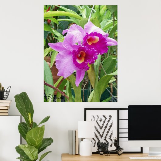 Paarse Cattleya Orchids Poster (Thuiskantoor)