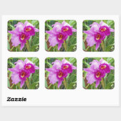 Paarse Cattleya Orchids Sticker (Vel)