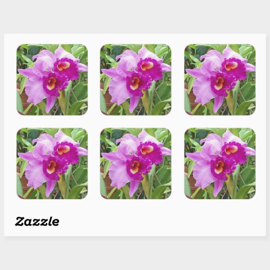 Paarse Cattleya Orchids Sticker (Vel)