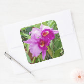 Paarse Cattleya Orchids Sticker (Envelop)