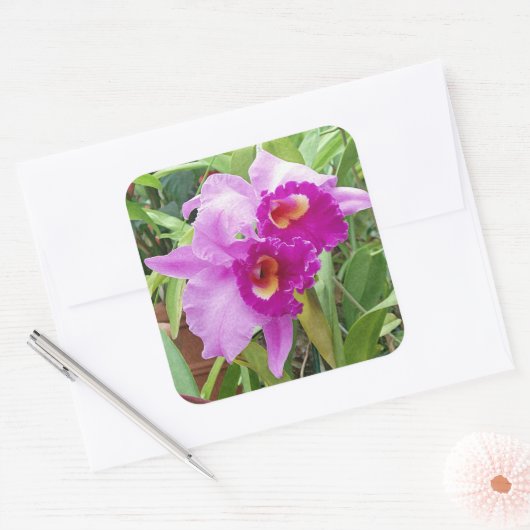 Paarse Cattleya Orchids Sticker (Envelop)