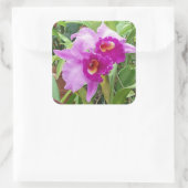 Paarse Cattleya Orchids Sticker (Tas)