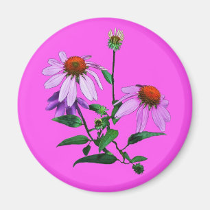 Paarse cefloer op roze magneet