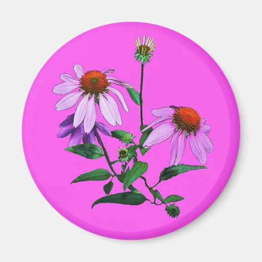 Paarse cefloer op roze magneet (Voorkant)